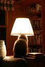 cat lamp.jpg