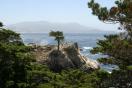 lone pine.jpg