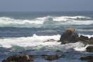 monterey bay.jpg