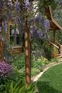 our garden.jpg