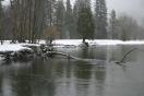 yosemite in winter.jpg